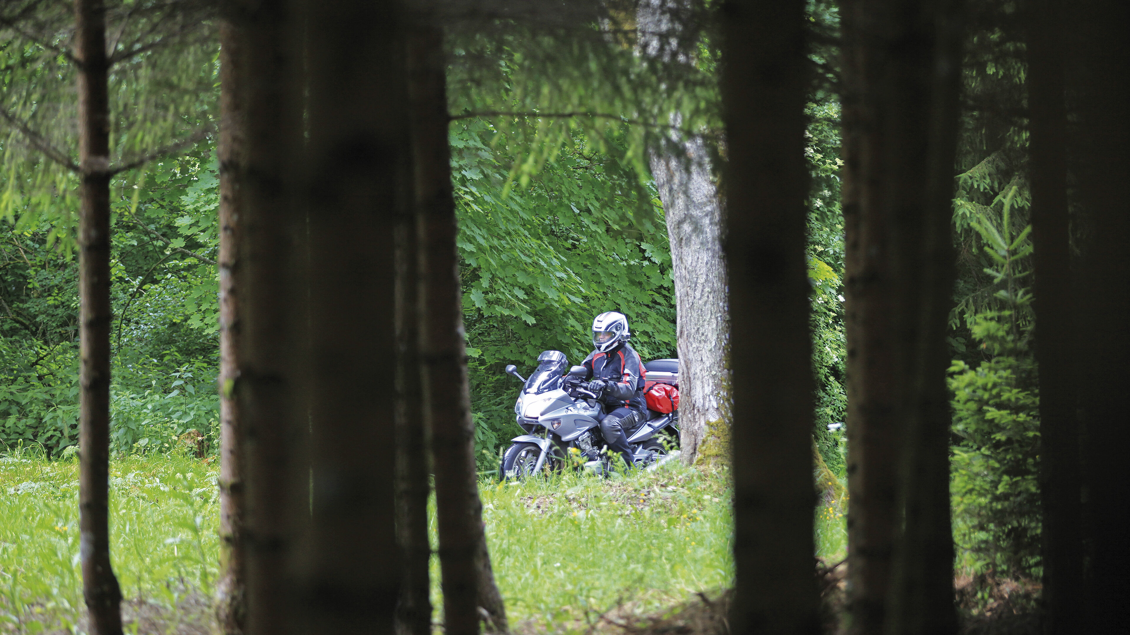 Auf Schleichwegen durch den Süd-Schwarzwald Auf Schleichwegen durch den Süd-Schwarzwald